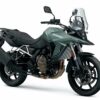DL800SE_motocyklista (4)